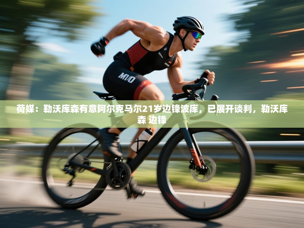 荷媒：勒沃库森有意阿尔克马尔21岁边锋波库，已展开谈判，勒沃库森 边锋  第2张