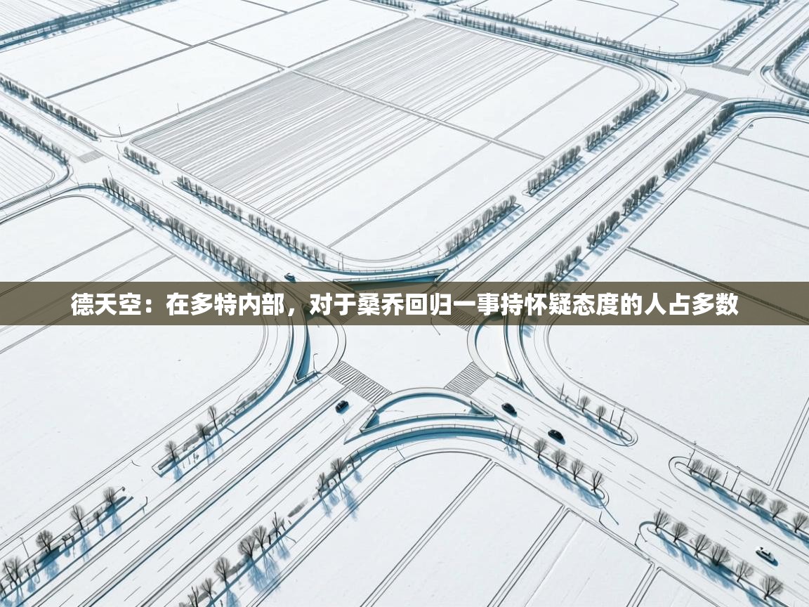 德天空：在多特内部，对于桑乔回归一事持怀疑态度的人占多数  第1张