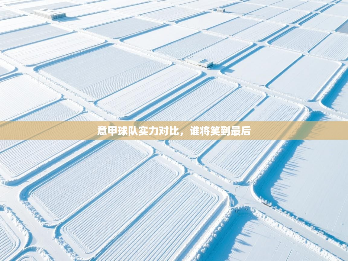 意甲球队实力对比,谁将笑到最后 第1张