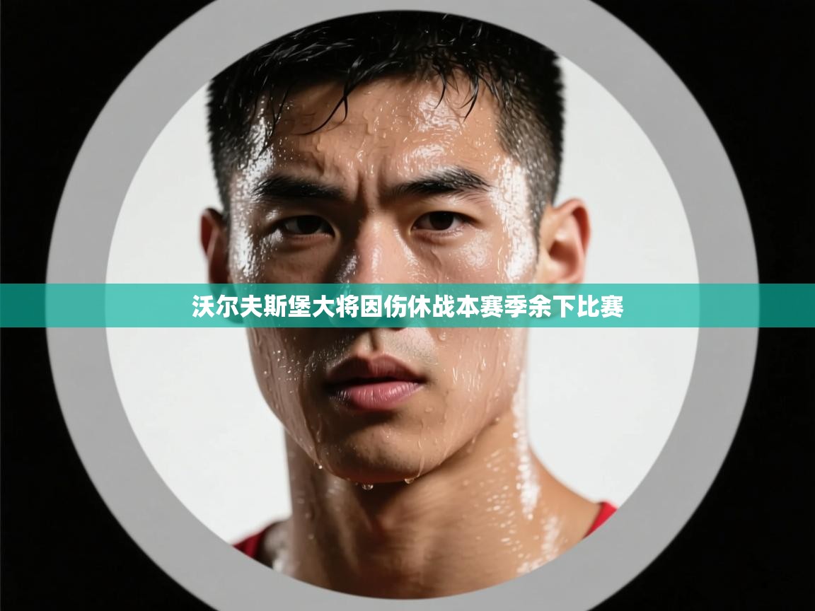 沃尔夫斯堡大将因伤休战本赛季余下比赛  第1张